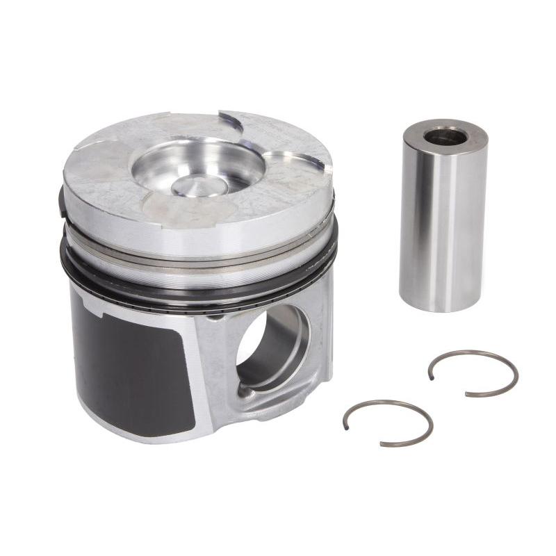 NURAL 8713750010 Piston