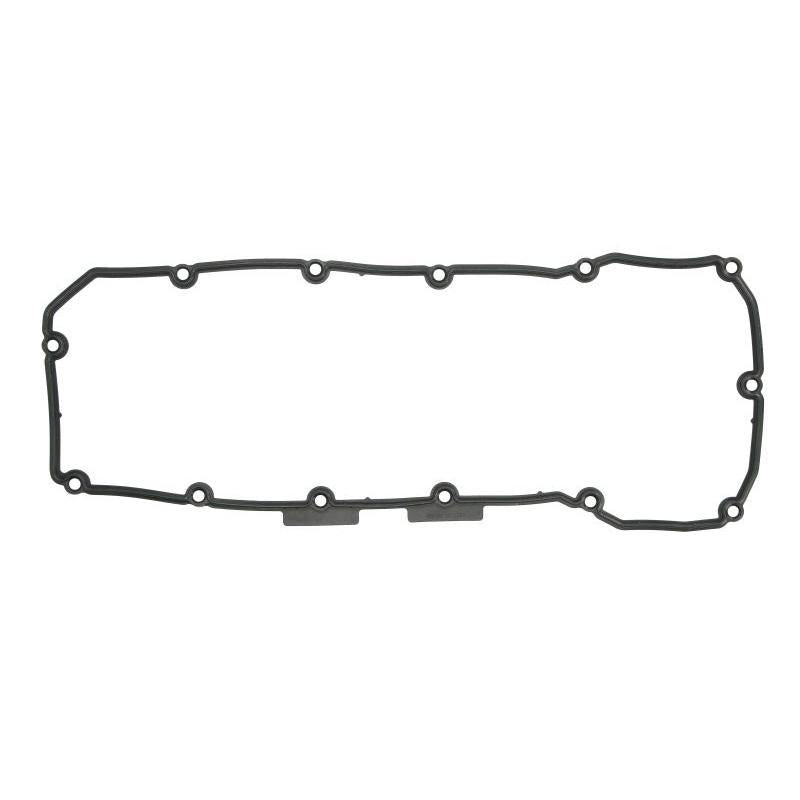 REINZ 71-12300-00 Cylinder Head Cover Gasket