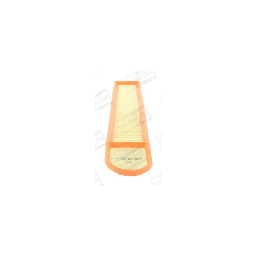 Champion Caf100921P Air Filter