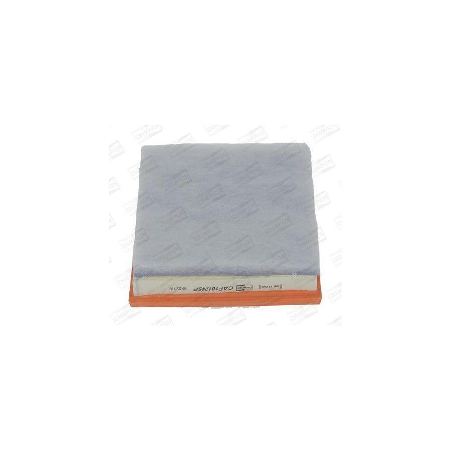 Champion Caf101245P Air Filter