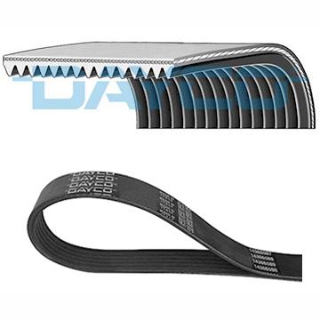 DAYCO DAY15PK954HD V-Ribbed Belt