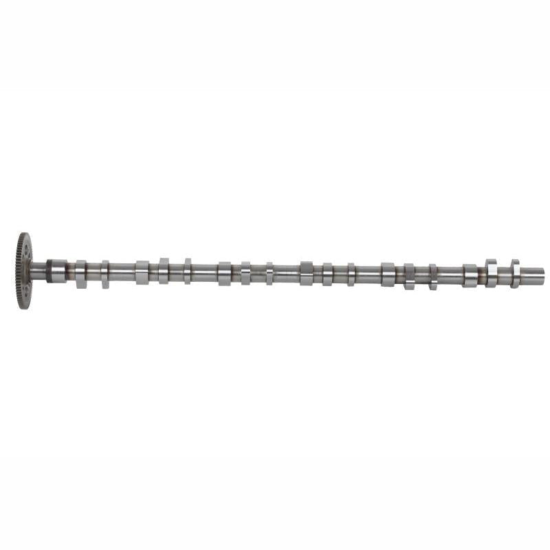 BF 20100347104 Camshaft