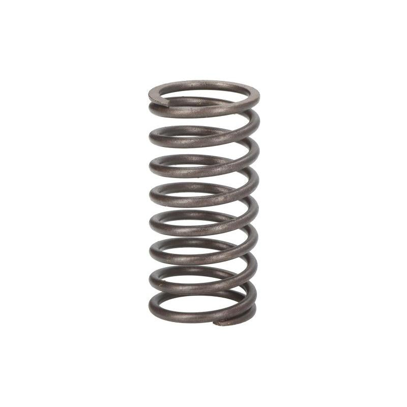 VAPORMATIC VPA2003 Valve Spring