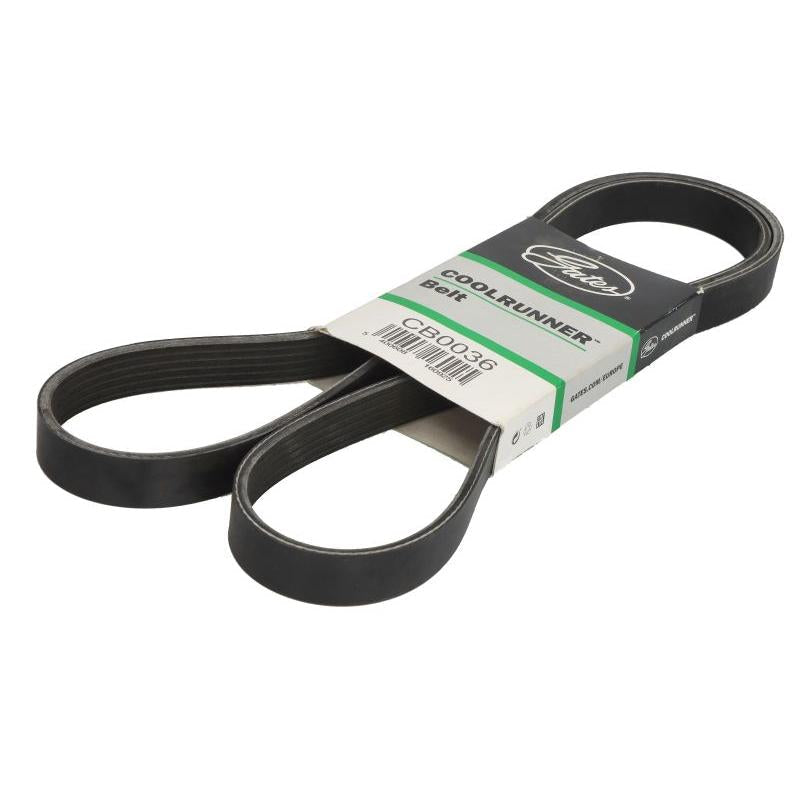 GATES GATCB0036 V-Ribbed Belt