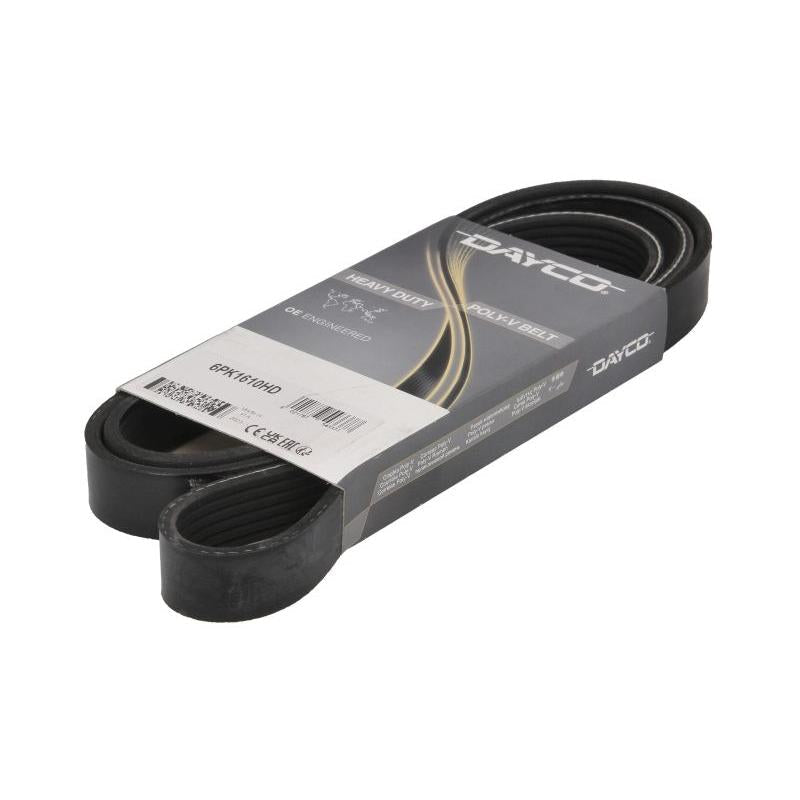 DAYCO DAY6PK1610HD V-Ribbed Belt