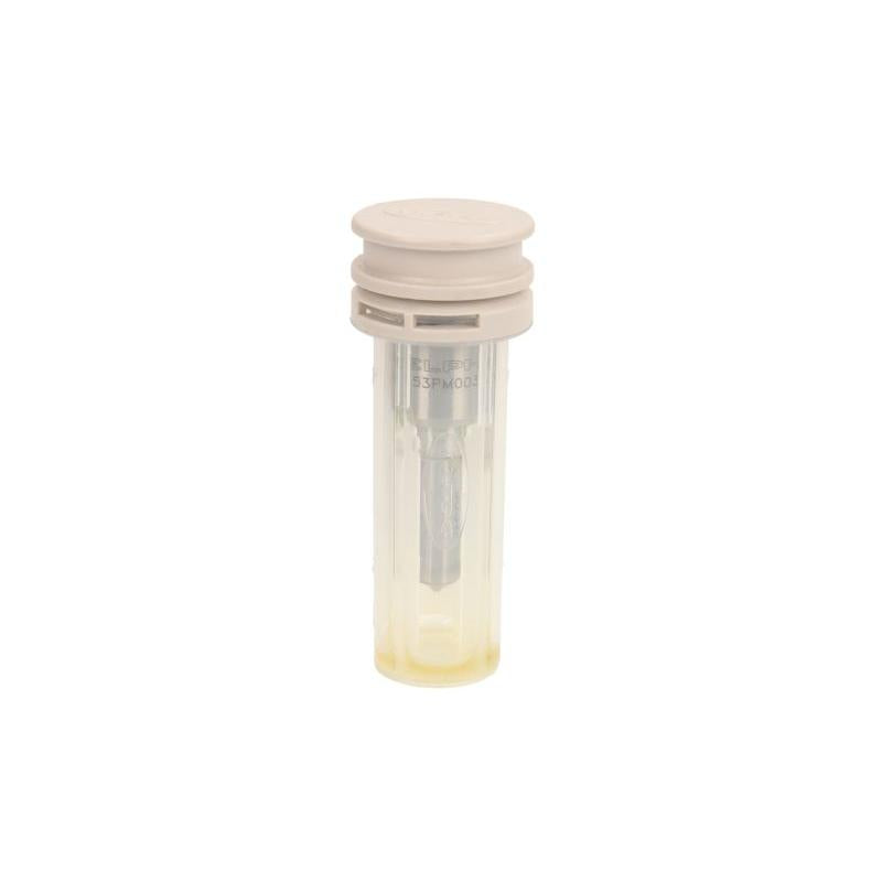 DELPHI 6980569 Injector