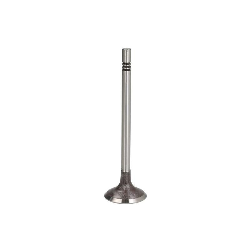 AE V95099 Intake Valve