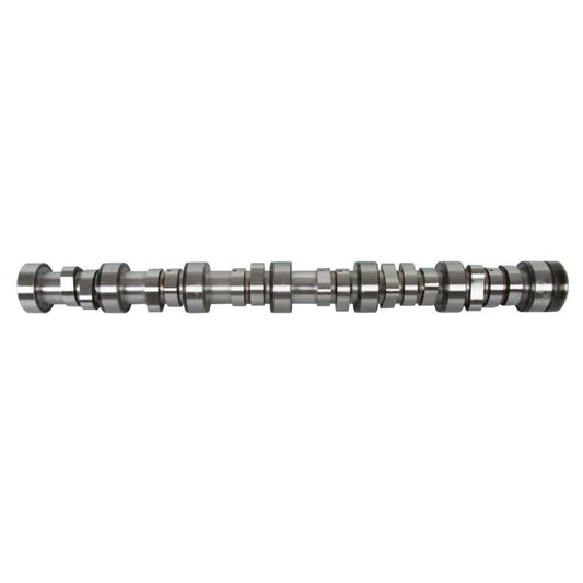 BF 20100913005 Camshaft