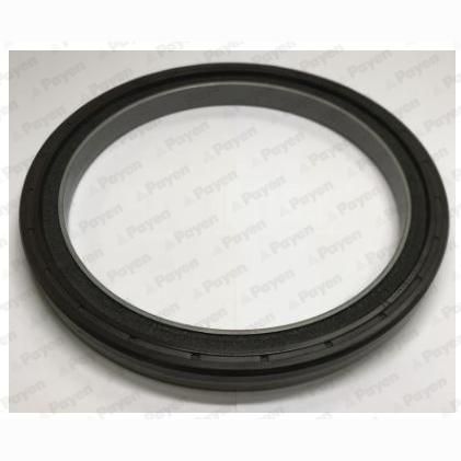 PAYEN NA5354 Crankshaft Shaft Seal