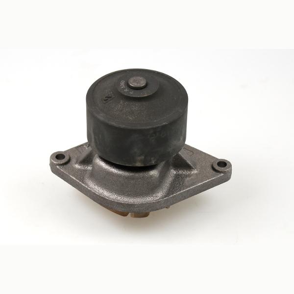 HEPU P1190 Water Pump