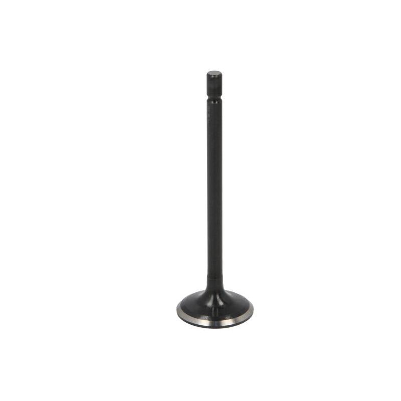 NE 147096001000 Intake Valve