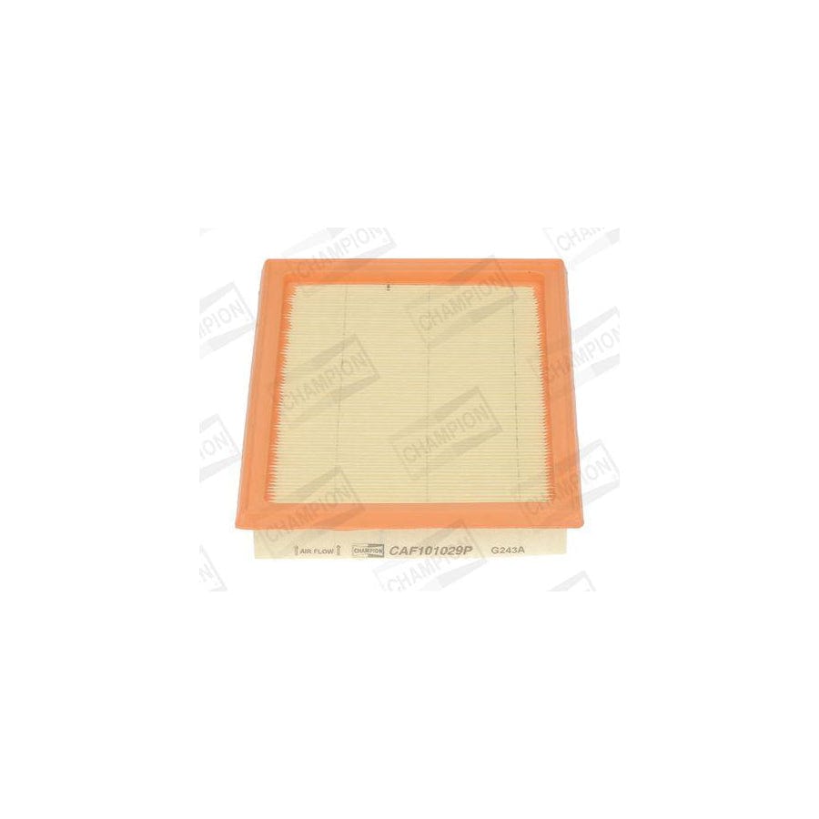 Champion Caf101029P Air Filter