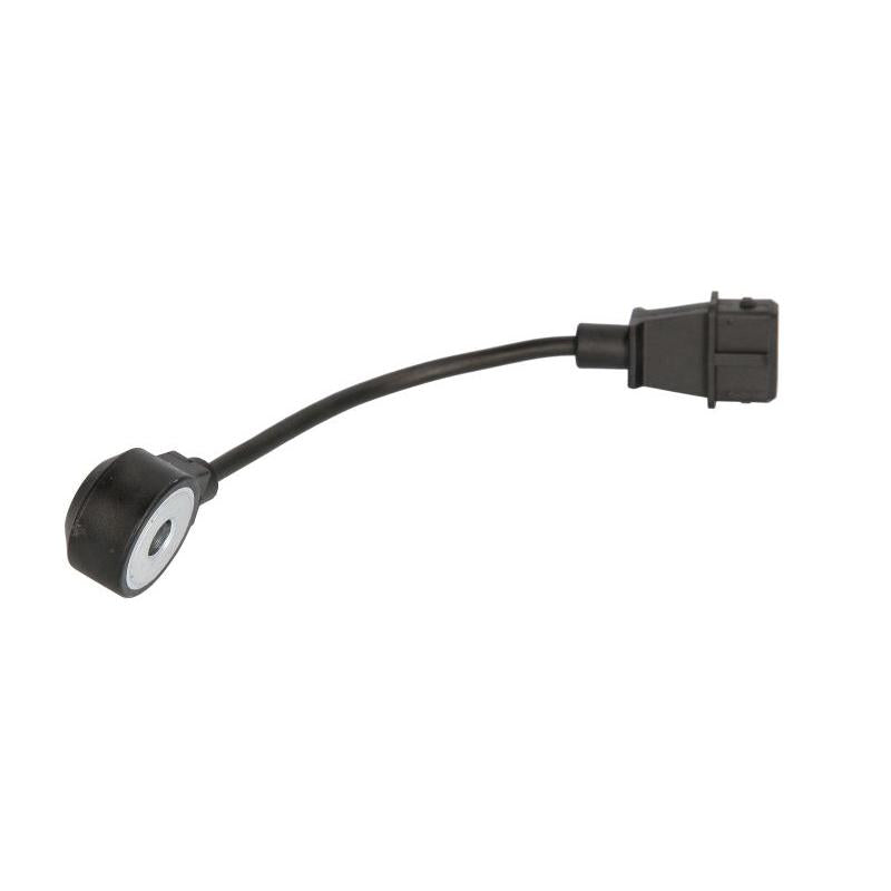 FAE AE60143 Knock Sensor