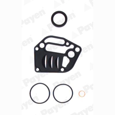 PAYEN EY841 Crankcase Gasket Kit