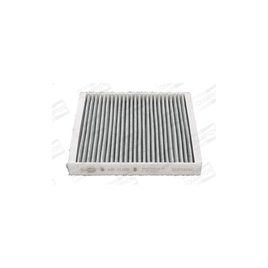 Champion Ccf0171C Pollen Filter