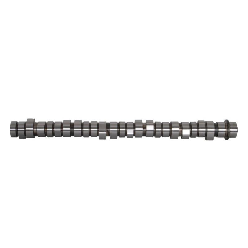 BF 20100411001 Camshaft