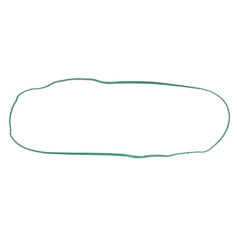FP DIESEL R524499-FP Cylinder Head Cover Gasket
