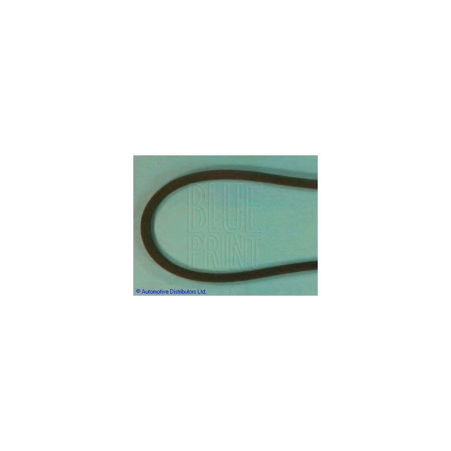 Blue Print Ads79601 V-Ribbed Belt