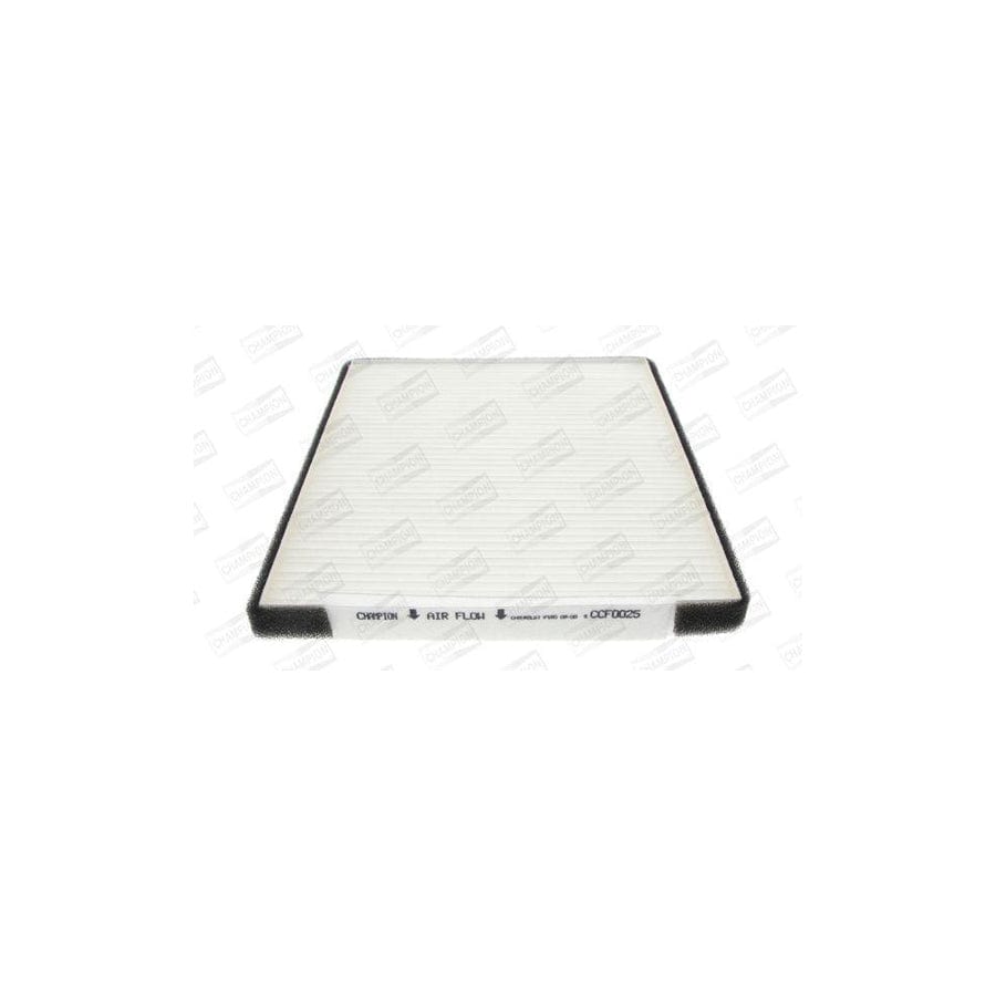 Champion Ccf0025 Pollen Filter