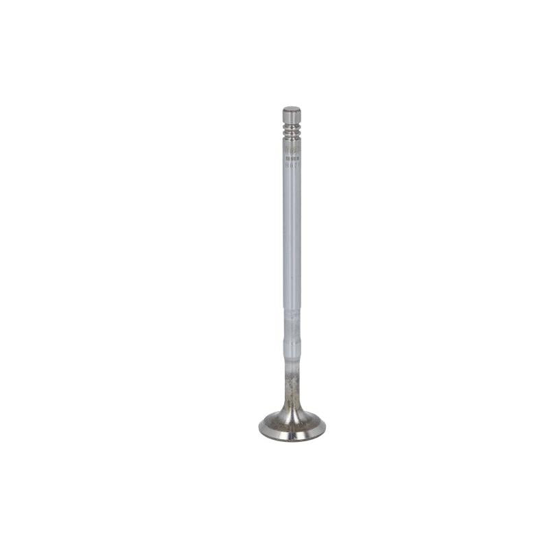 NE 147020001000 Intake Valve