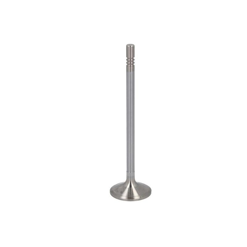 MOTIVE MOTEQ32003697 Intake Valve