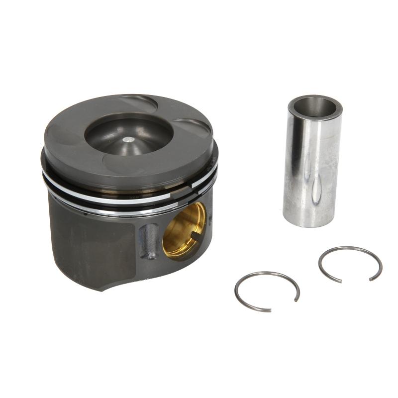 NURAL 8742870700 Piston