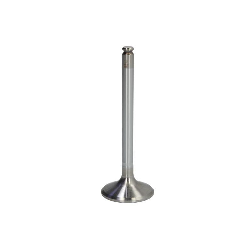 NE 147010000300 Intake Valve
