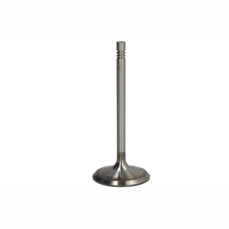 NE 147050001500 Intake Valve