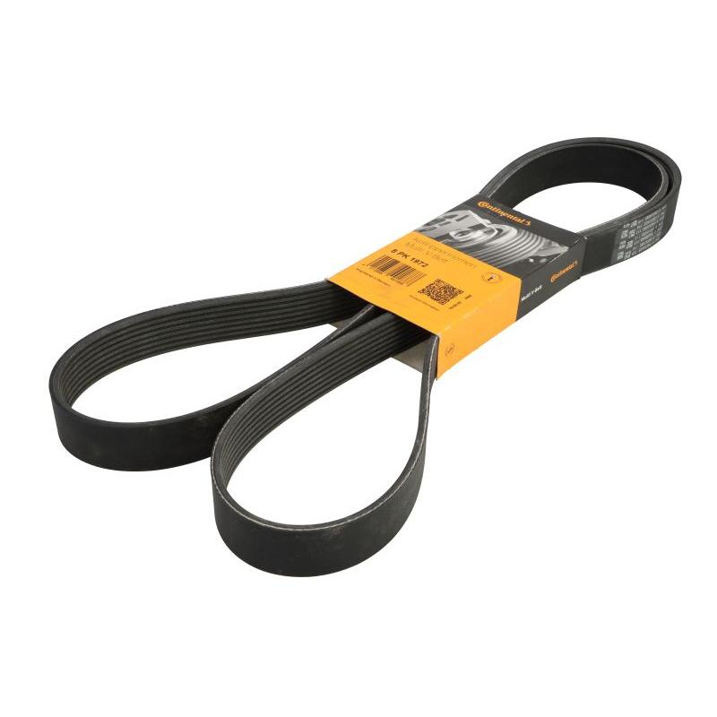 CONTITECH 8PK1972 V-Ribbed Belt