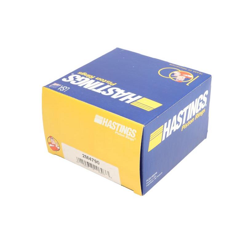 HASTINGS 2M4790 Piston Ring Kit
