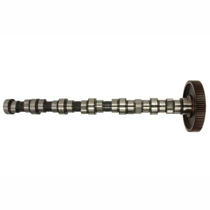 BF 20100520136 Camshaft