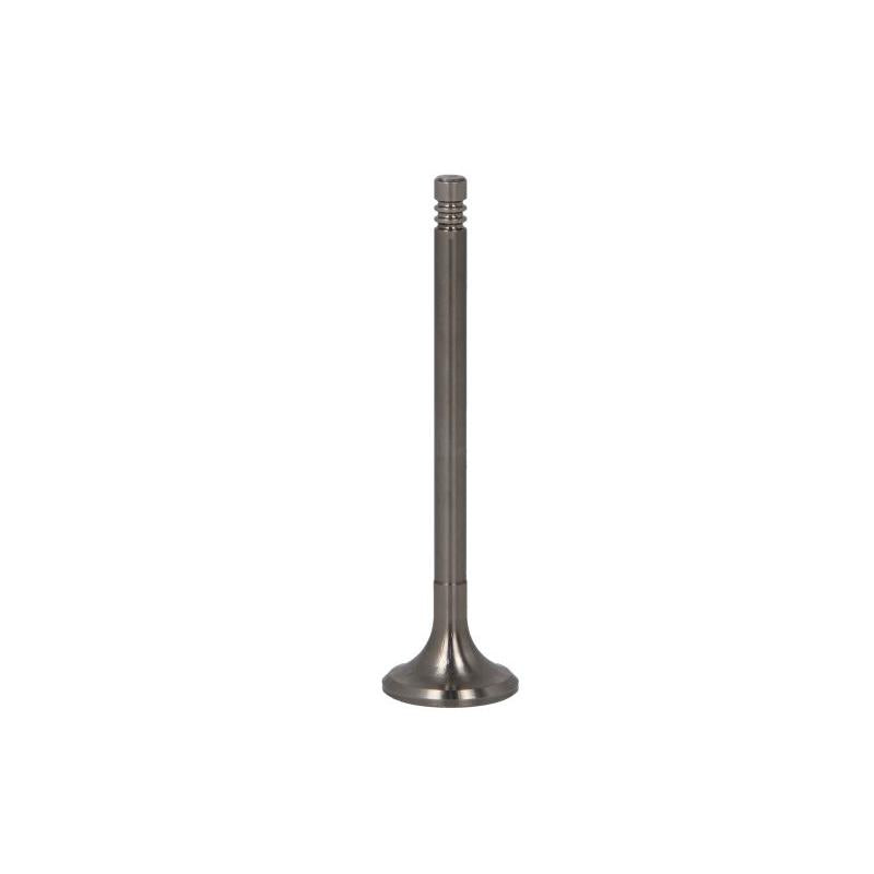 PARADOWSCY PCIT108 Exhaust Valve