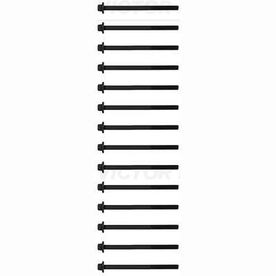 REINZ 14-10017-01 Cylinder Head Bolt Set
