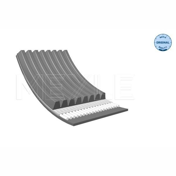 MEYLE 0500082020 V-Ribbed Belt