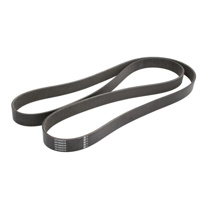 OPTIBELT 1004319AP V-Ribbed Belt