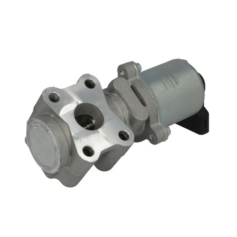 NRF NRF48656 Egr Valve