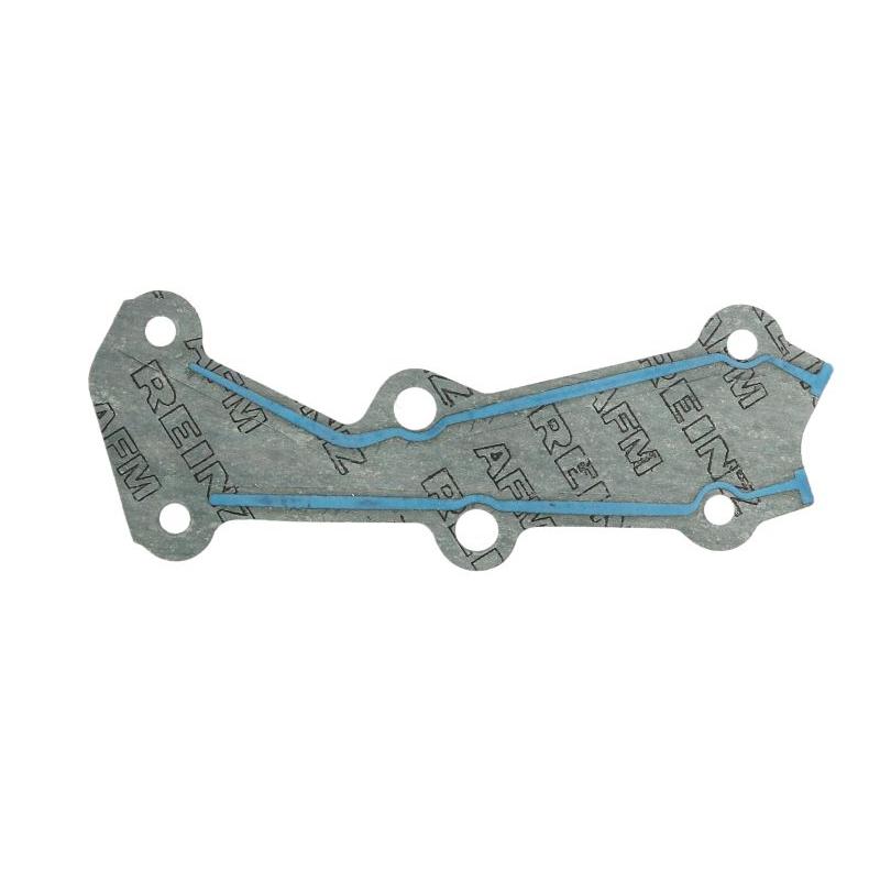 REINZ 15-31869-01 Timing Case Gasket Kit