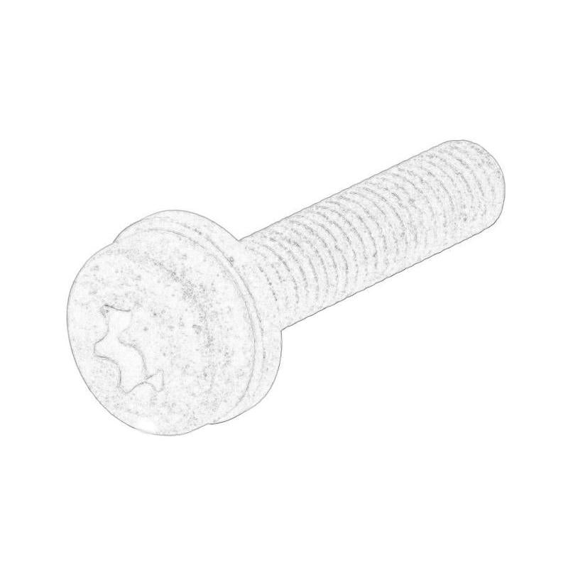 OE RENAULT 268-68R Injection Nozzle Holder Screw
