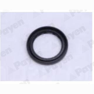 PAYEN NJ743 Wheel Hub Shaft Seal