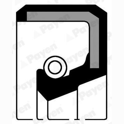 PAYEN NF535 Camshaft Shaft Seal