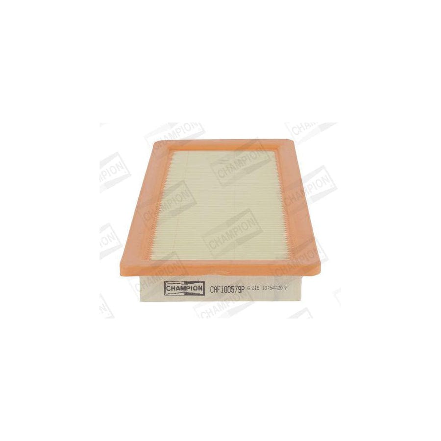 Champion Caf100579P Air Filter