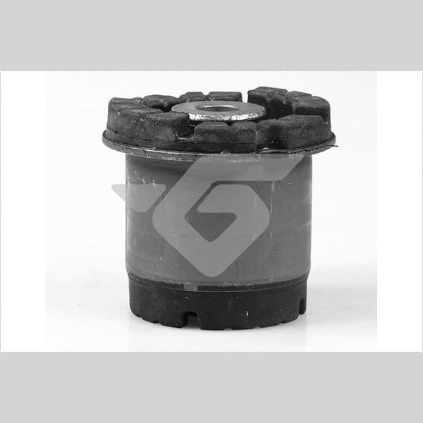 HUTCHINSON HU590287 Axle Beam Bushing