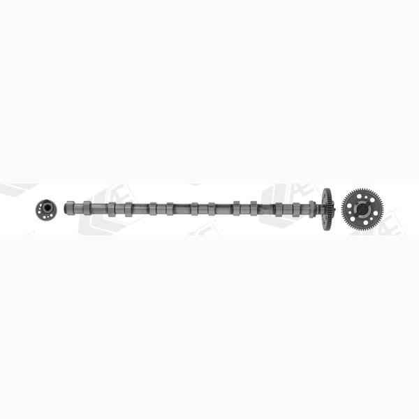 AE CAM1017 Camshaft