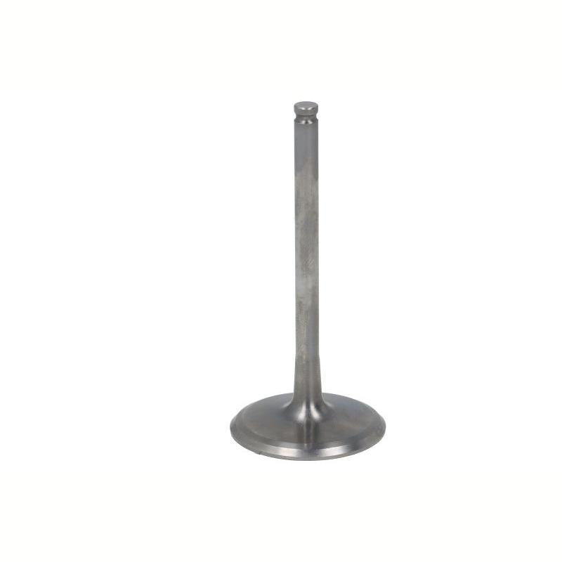 ATHENA VI-250207T Intake Valve