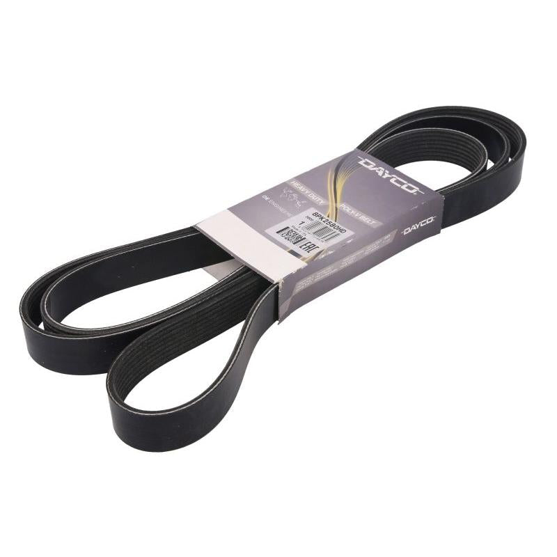 DAYCO DAY8PK2580HD V-Ribbed Belt