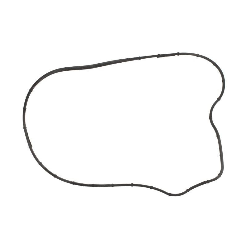 LEMA LE24246.14 Water Pump Gasket