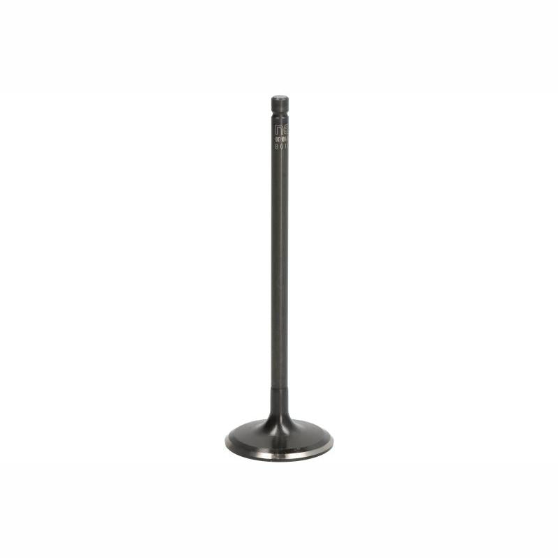 NE 147087001400 Intake Valve