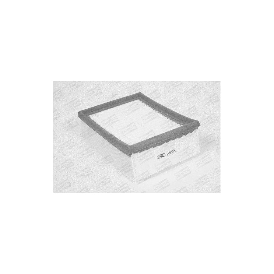 Champion U708/606 Air Filter