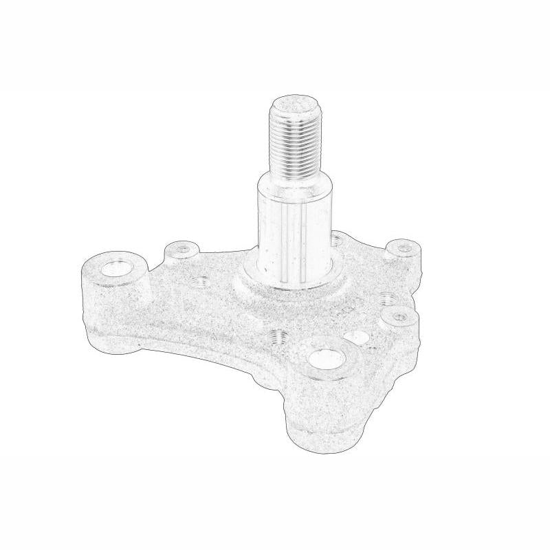 OE RENAULT 430433572R Wheel Hub