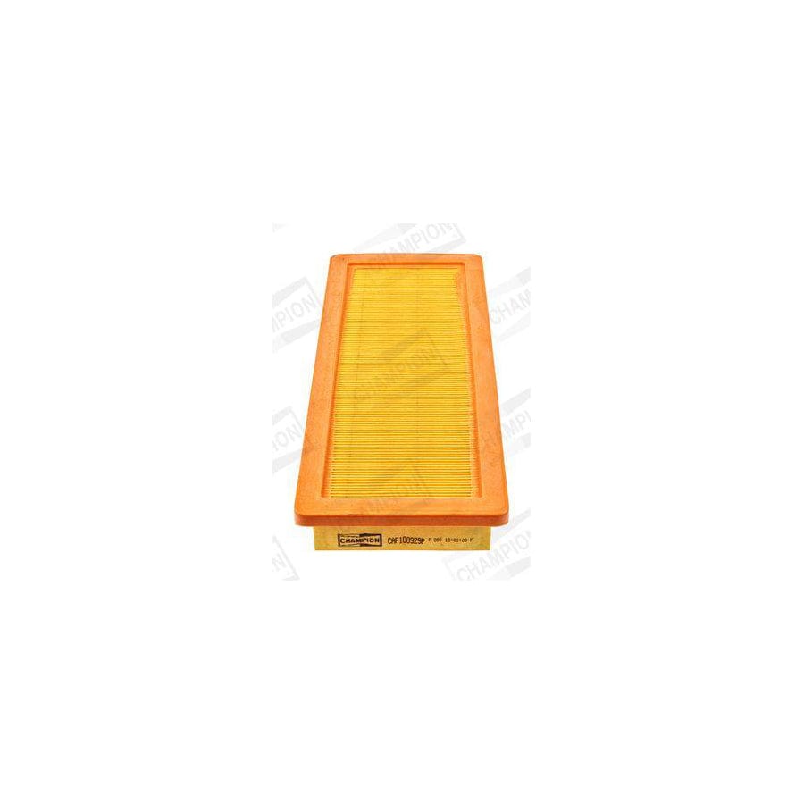 Champion Caf100929P Air Filter